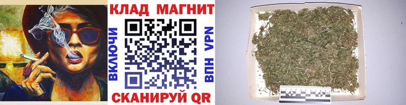 Где купить наркоту Ефремов Бошки Шишки  АМФ  ГАШИШ  Альфа ПВП  Меф мяу мяу  Cocaine 