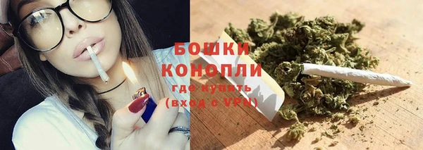 ПСИЛОЦИБИНОВЫЕ ГРИБЫ Алзамай