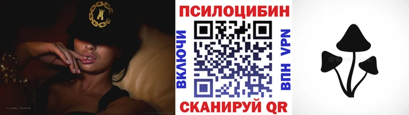 наркотики  Ефремов  Псилоцибиновые грибы мухоморы 